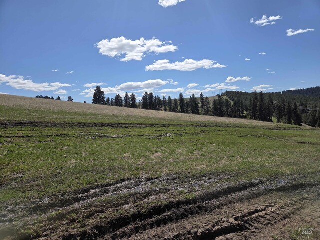 TBD Lenville Rd, Moscow, ID 83843