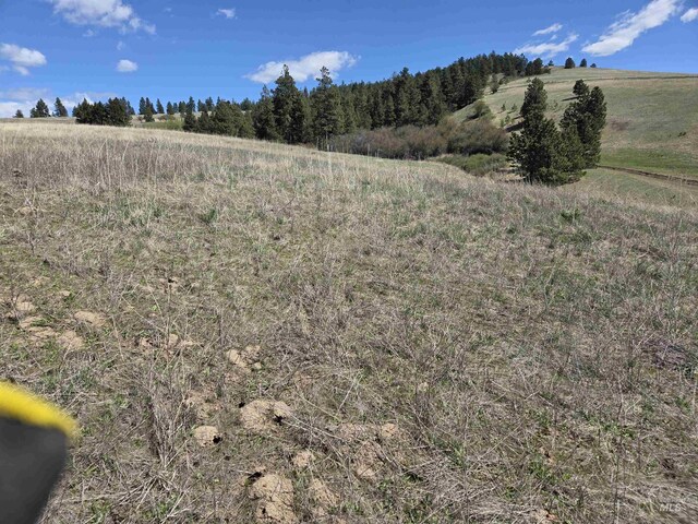 TBD Lenville Rd, Moscow, ID 83843
