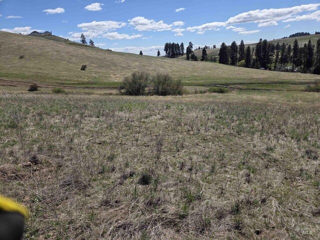 TBD Lenville Rd, Moscow, ID 83843