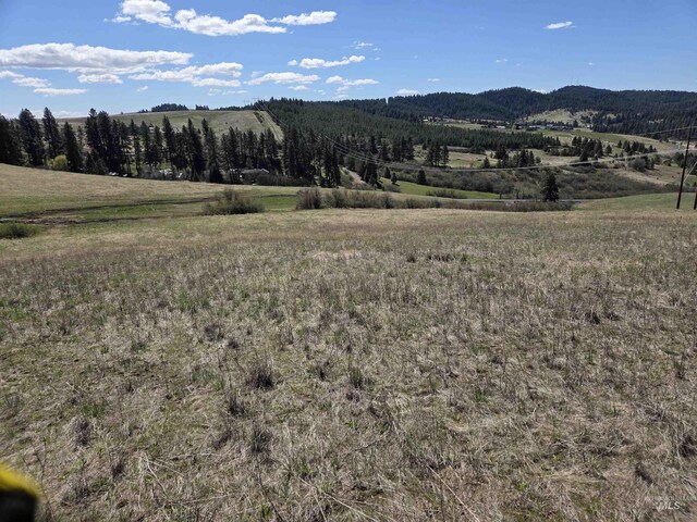 TBD Lenville Rd, Moscow, ID 83843