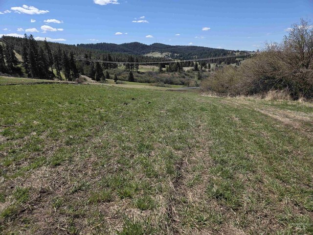 TBD Lenville Rd, Moscow, ID 83843