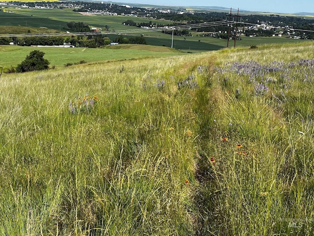 TBD Lenville Rd, Moscow, ID 83843