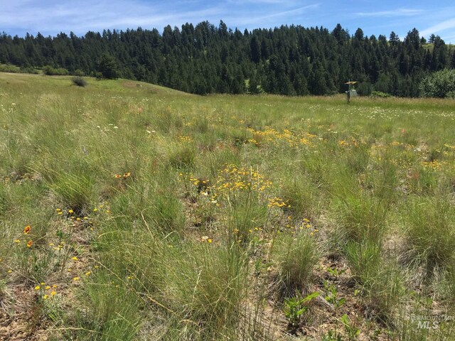 TBD Lenville Rd, Moscow, ID 83843