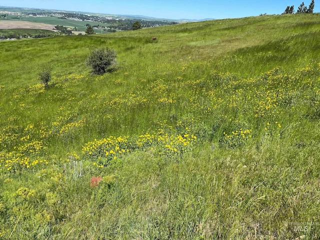 TBD Lenville Rd, Moscow, ID 83843