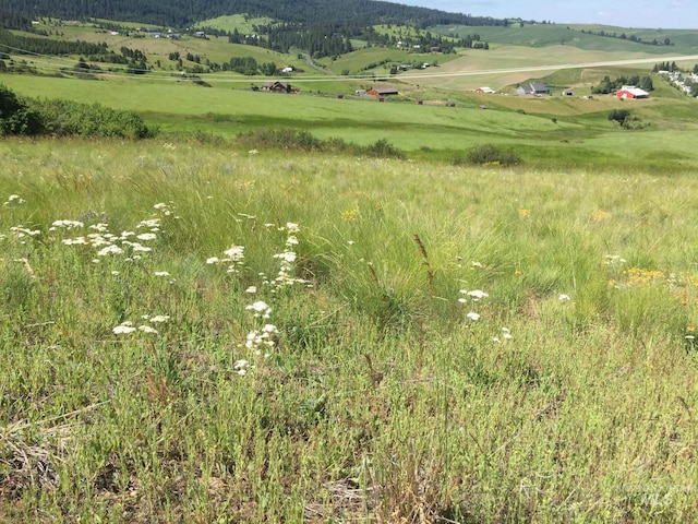 TBD Lenville Rd, Moscow, ID 83843
