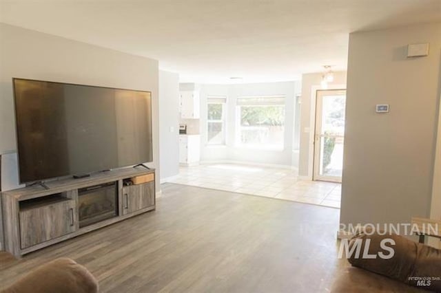 living room featuring light wood-type flooring