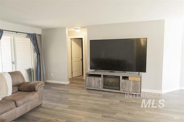 living room with wood-type flooring and a fireplace