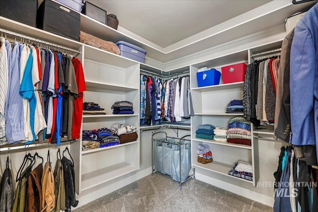 3492 E 3600 N, Kimberly, ID 83341 - spacious closet with carpet floors