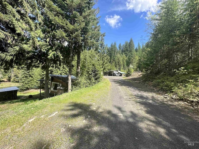 2223 Glenwood Rd, Kamiah, ID 83536 - view of street featuring a wooded view and driveway