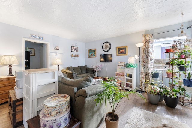 living room featuring a textured ceiling and wood finished floors