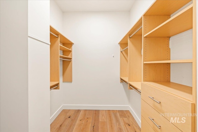 1112 W Main St Unit 503, Boise, ID 83702 - walk in closet featuring light wood finished floors