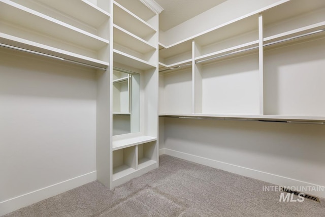spacious closet with carpet flooring