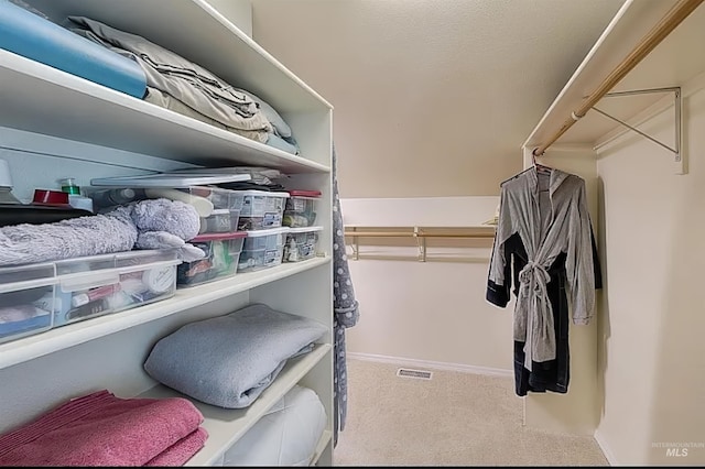 398 N Pebble Beach Way, Eagle, ID 83616 - spacious closet with carpet floors