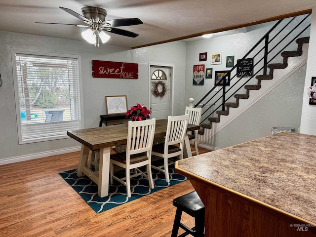 dining space with ceiling fan and wood-type flooring