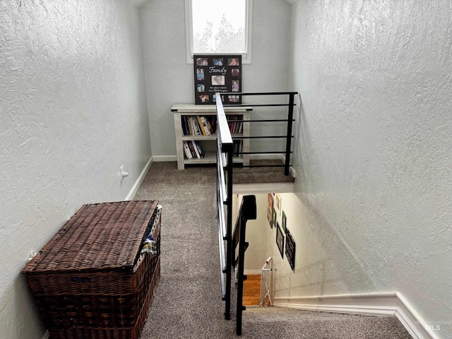 stairway with carpet floors