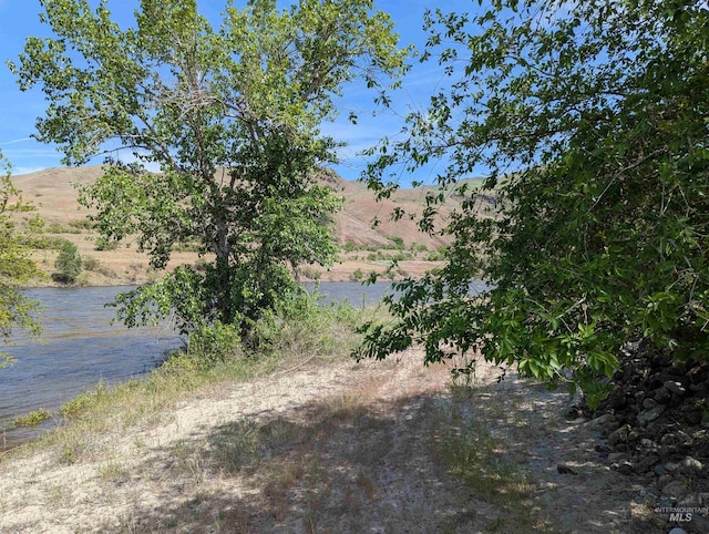 TBD River Bend Rd, White Bird, ID 83354