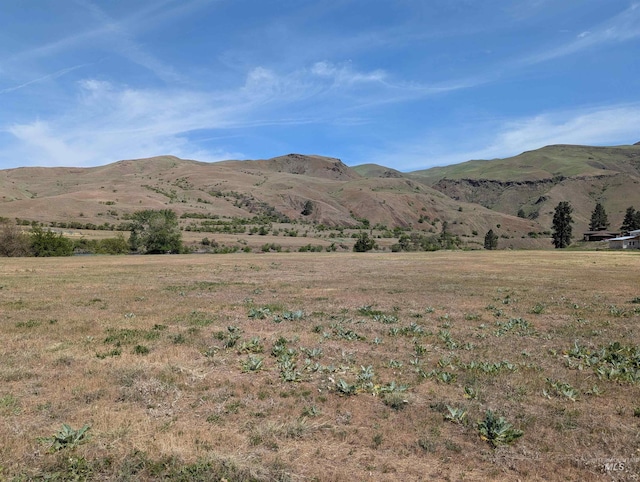 TBD River Bend Rd, White Bird, ID 83354