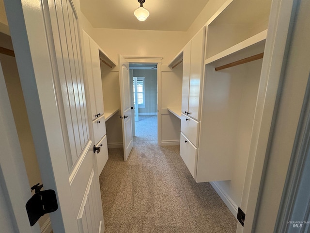 spacious closet with light carpet