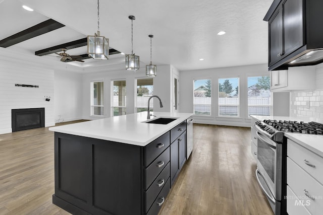 1734 Shoal Point Ave, Middleton, ID 83644 - kitchen with a fireplace, appliances with stainless steel finishes, a sink, light countertops, and open floor plan