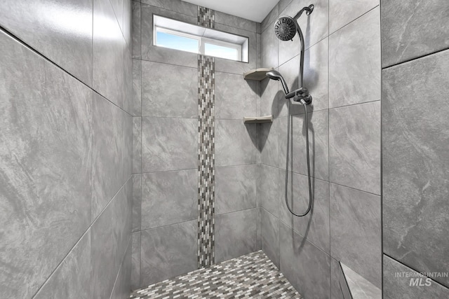 1734 Shoal Point Ave, Middleton, ID 83644 - details with tiled shower