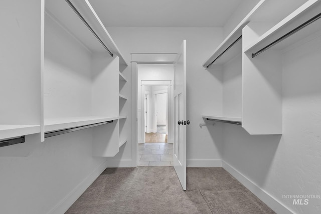 1734 Shoal Point Ave, Middleton, ID 83644 - spacious closet featuring carpet