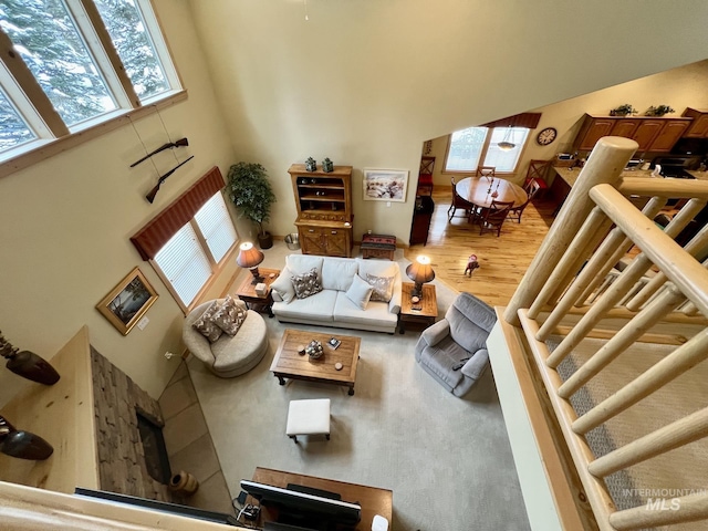 living room with hardwood / wood-style floors and a high ceiling