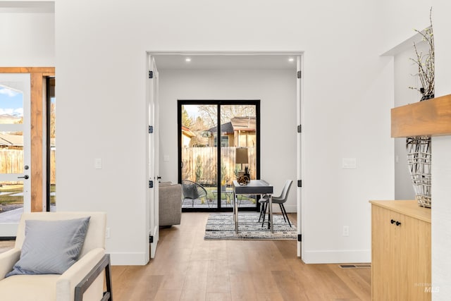 interior space featuring light hardwood / wood-style floors and a wealth of natural light