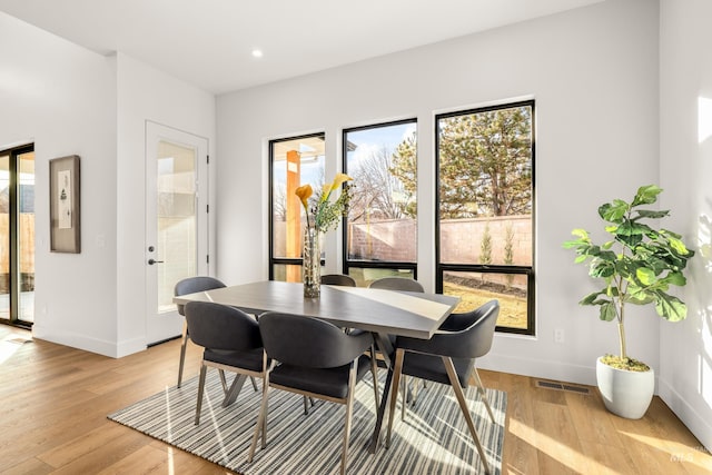 dining room featuring light hardwood / wood-style floors and a wealth of natural light