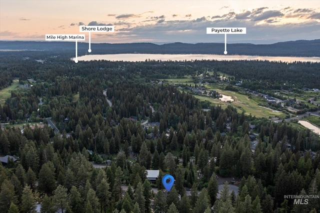 1678 Majestic View Dr, Mccall, ID 83638 - aerial view at dusk of a view of trees and a water view