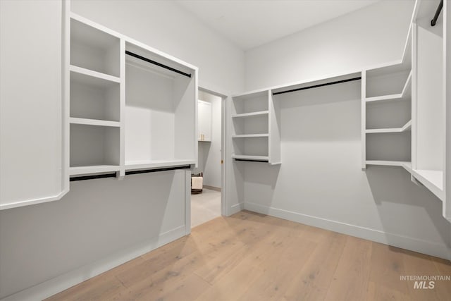1678 Majestic View Dr, Mccall, ID 83638 - spacious closet with light wood-style floors