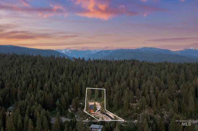 1678 Majestic View Dr, Mccall, ID 83638 - mountain view with a forest