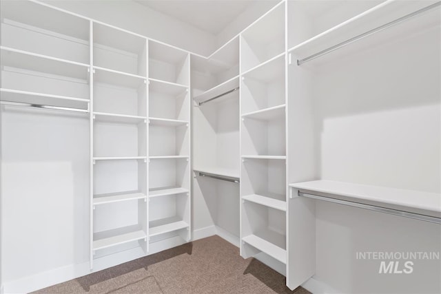 6874 N Fireball, Meridian, ID 83646 - spacious closet with carpet flooring