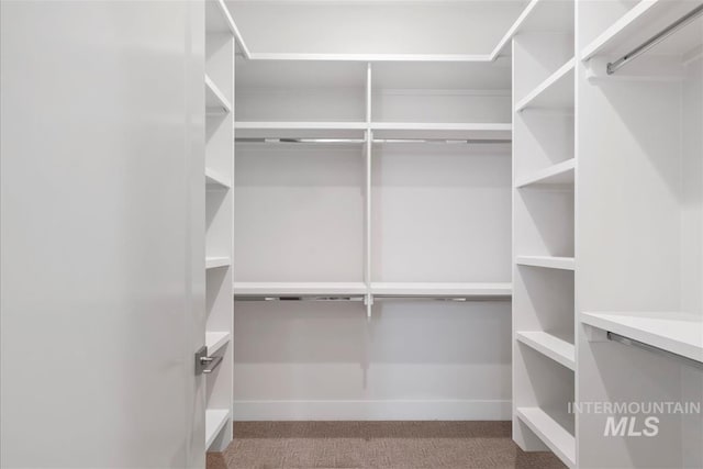 6874 N Fireball, Meridian, ID 83646 - walk in closet featuring carpet flooring