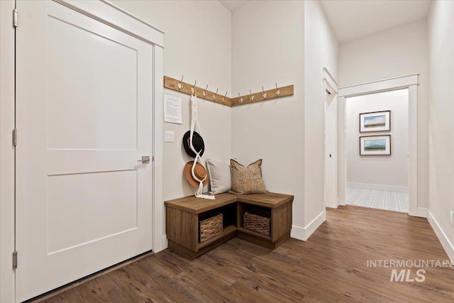 mudroom with wood-type flooring