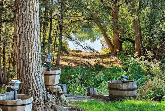 view of yard with a water view