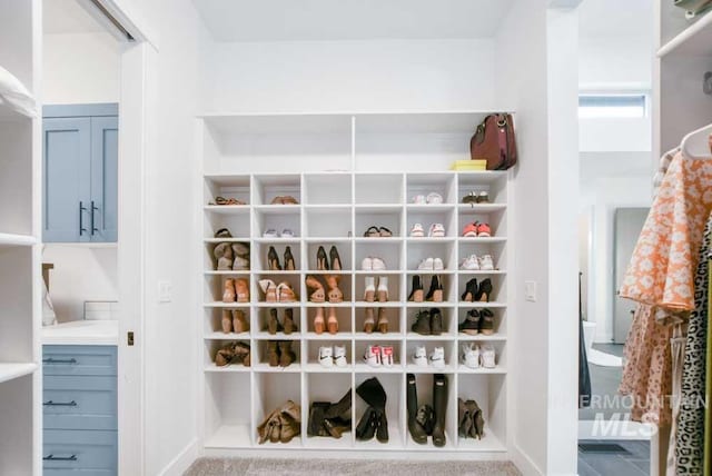 mudroom featuring carpet floors