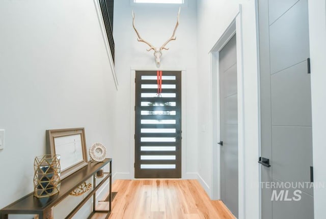 foyer entrance with light hardwood / wood-style flooring