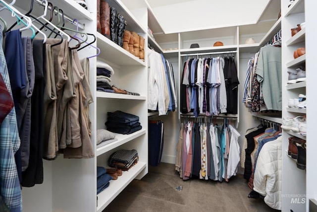 view of spacious closet