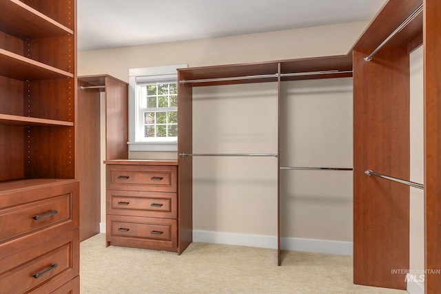 1919 N 21st St, Boise, ID 83702 - walk in closet with light colored carpet