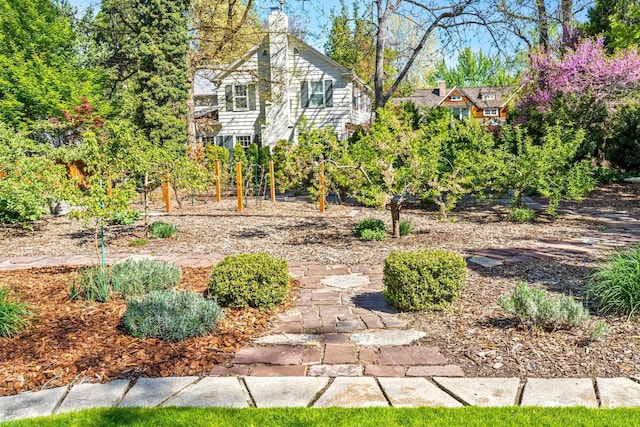 1919 N 21st St, Boise, ID 83702 - view of yard