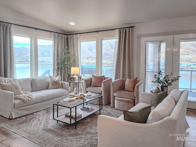 living room featuring plenty of natural light, light hardwood / wood-style floors, and vaulted ceiling