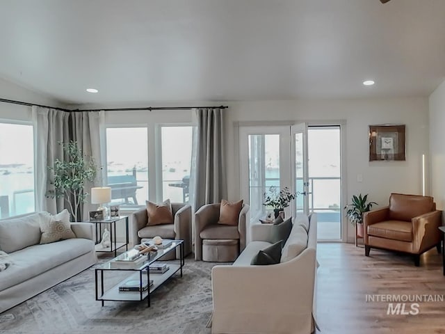 living room with hardwood / wood-style floors