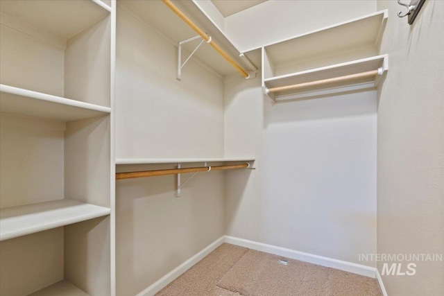 walk in closet with carpet