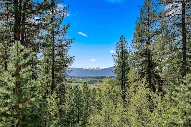 84 Jughandle Dr, Mccall, ID 83638 - view of mountain background