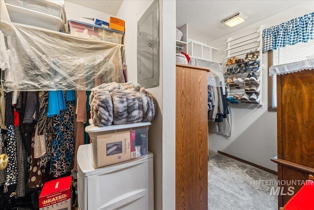 2503 Lyle Ct, Nampa, ID 83651 - walk in closet featuring carpet flooring