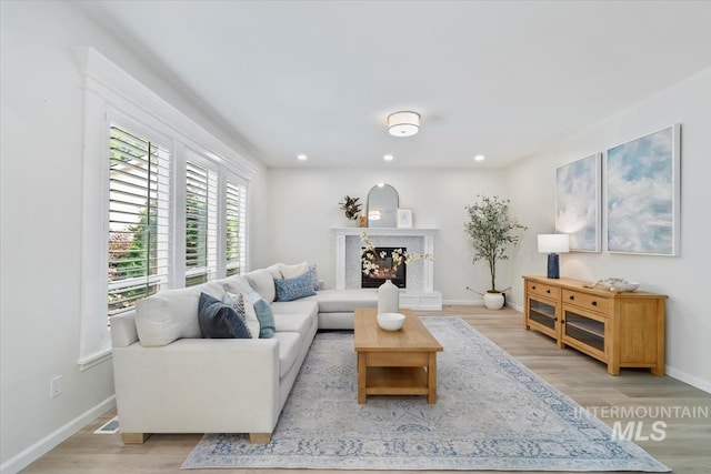 5446 E Branchwood Ct, Boise, ID 83716 - living area featuring light wood-type flooring, recessed lighting, and a fireplace