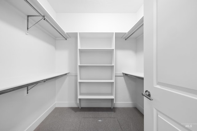 2928 W Los Flores Dr, Meridian, ID 83646 - walk in closet featuring dark carpet
