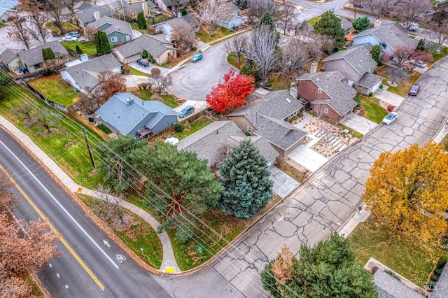 bird's eye view