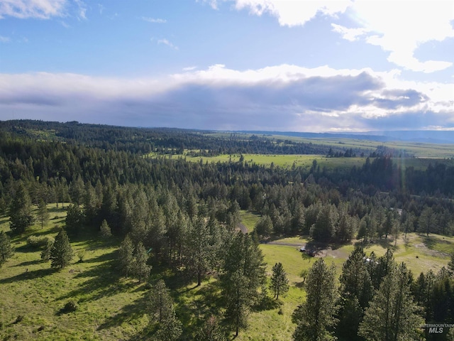 2471 Old White Bird Hill Rd, Grangeville, ID 83530