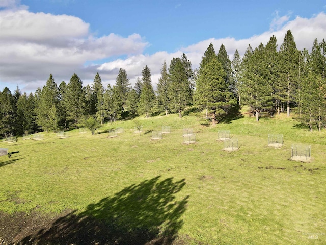 2471 Old White Bird Hill Rd, Grangeville, ID 83530